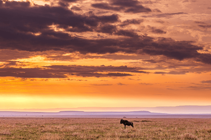 Rwanda Landscape