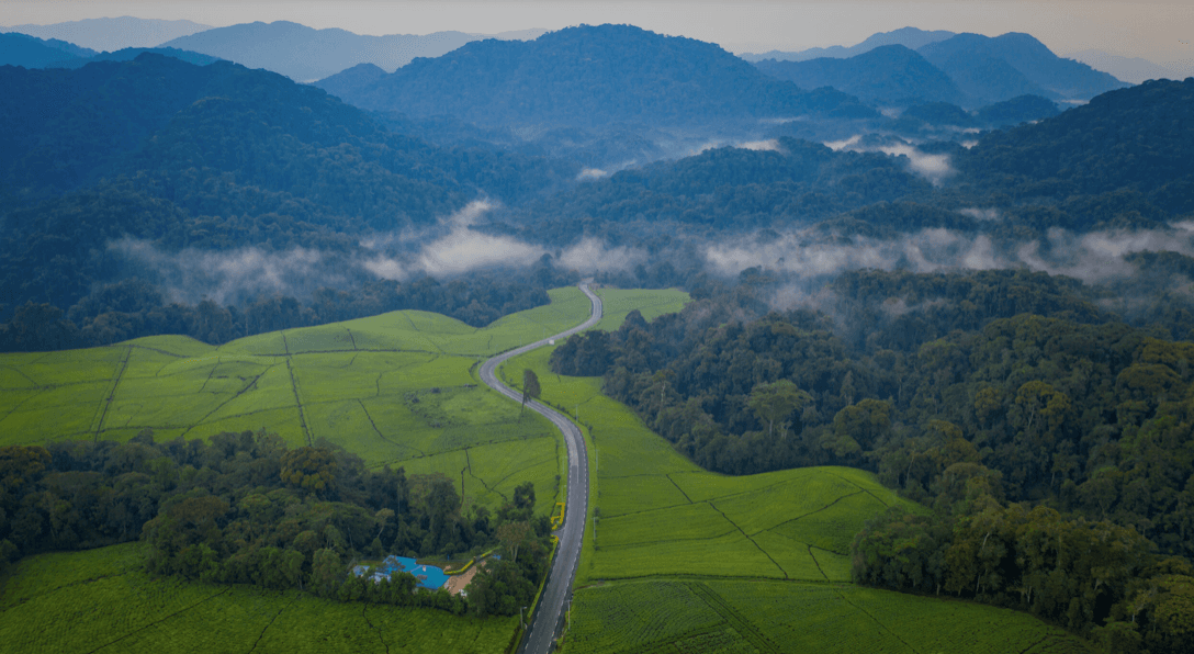 Rwanda Landscape