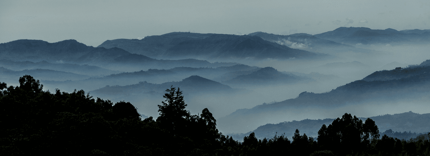 Rwanda Landscape