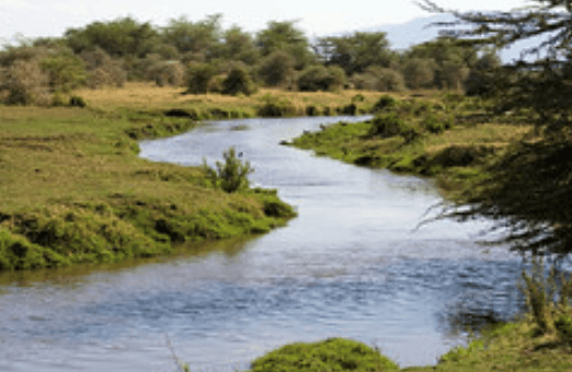 Rwanda Landscape